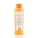 ACONDICIONADOR CON GINSENG ANYELUZ 500 Ml - Image 3