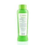SHAMPOO ALOE VERA ANYELUZ - Image 3
